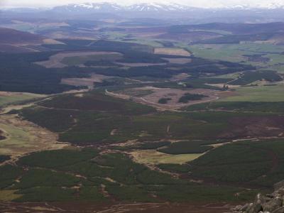 View south from Ben Rinnes