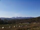 Lochnagar from outside Ballater