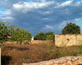 Finca near San Ferran