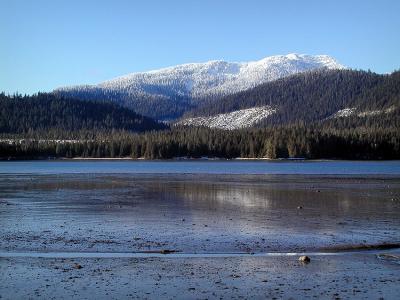 Tide Out