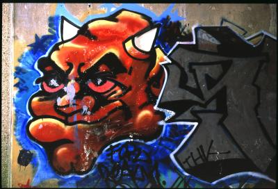 Graffiti on the Devil's Highway