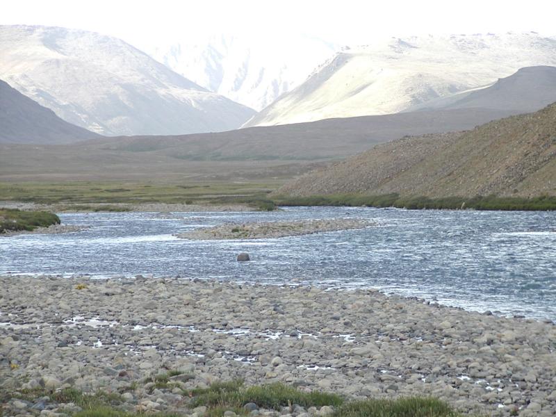 Close Up (Downstream)