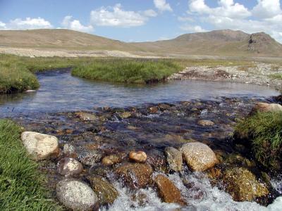 Shatung Pani