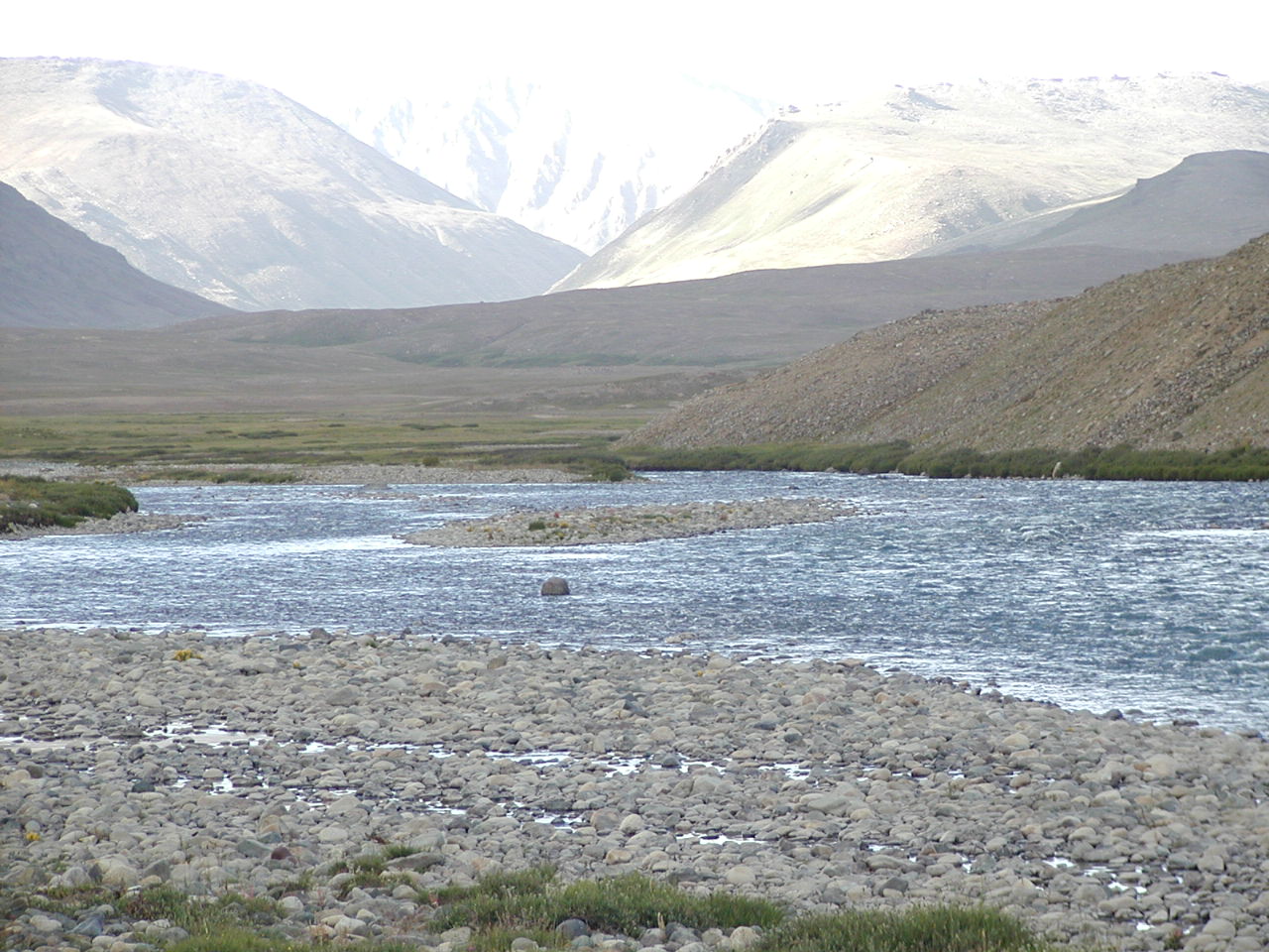 Close Up (Downstream)