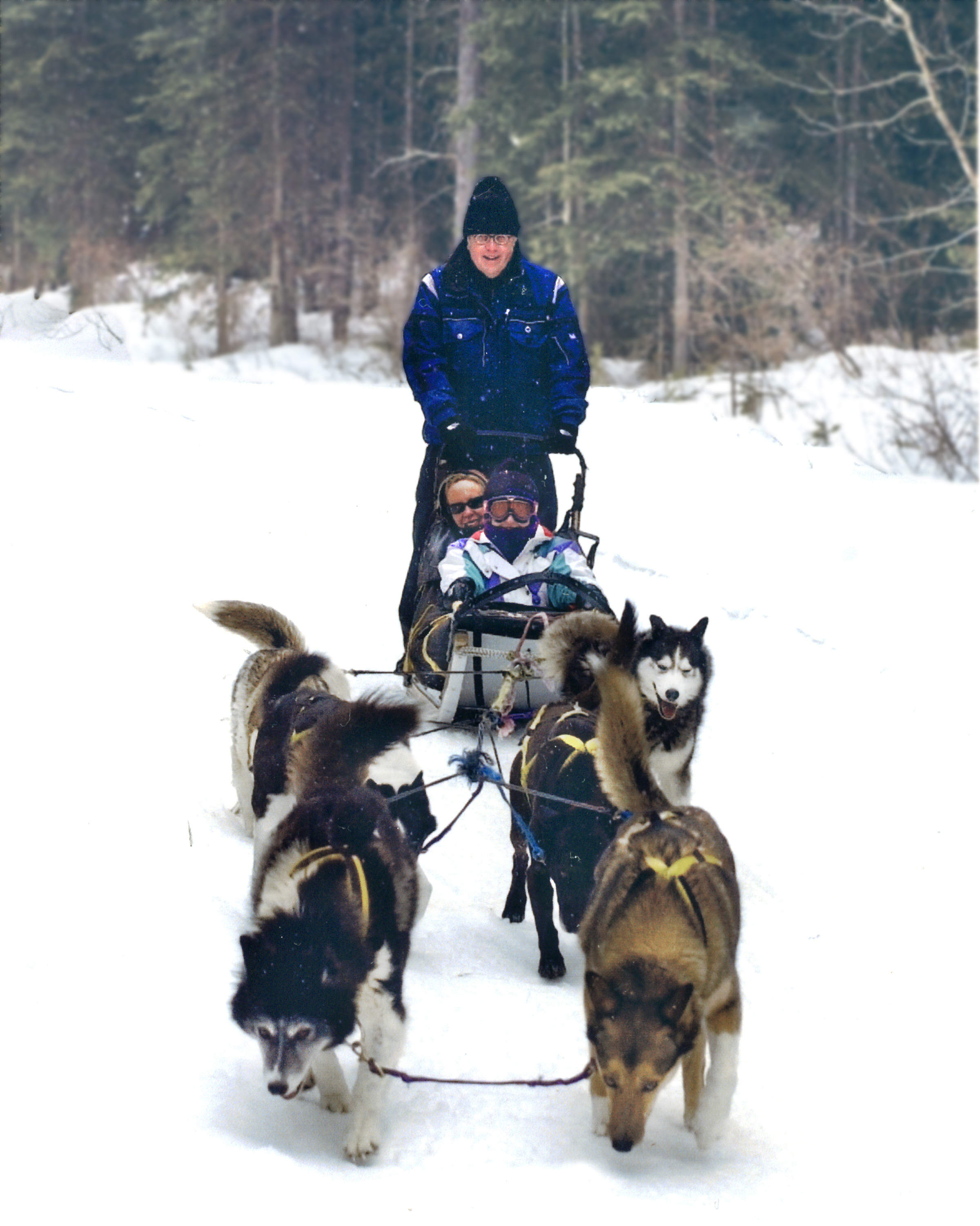 dog sled edited.JPG