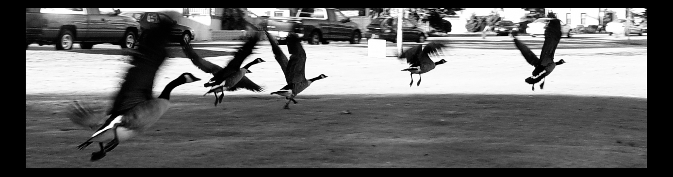 20041011 / Take Off, Eh.