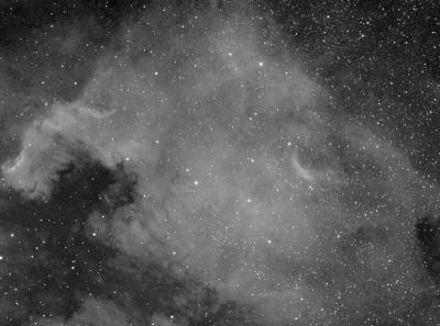 North American Nebula wide field