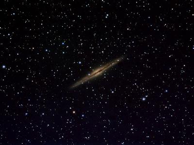 NGC891