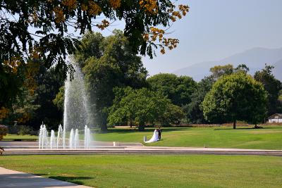 IMG_4773ps.jpg