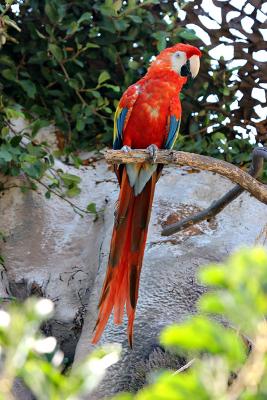 IMG_5590psSmall.jpg
