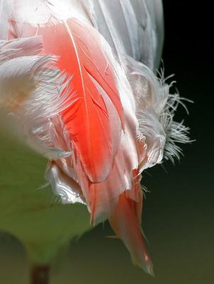 IMG_5830ps.jpg