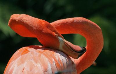IMG_5834ps.jpg