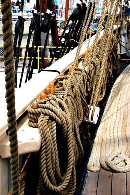 IMG_4906ps.jpg