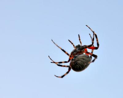 {Q-E}IMG_7082ps.jpg