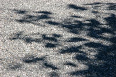 IMG_7192Small.jpg