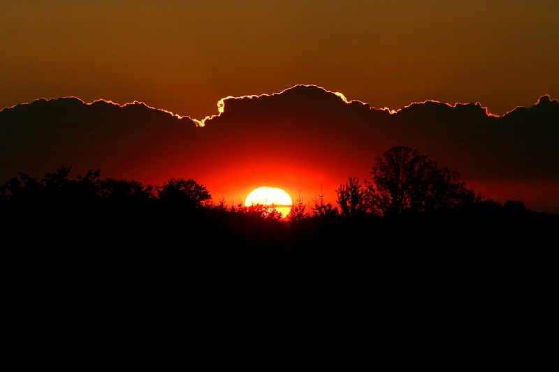 Morning 08.jpg