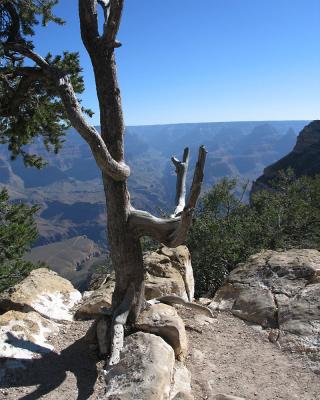 Morning on rim trail (Day 2)