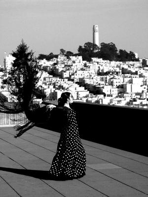 PICT0156a.jpg