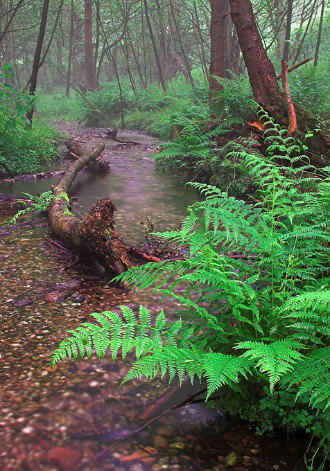 Abrahams Valley