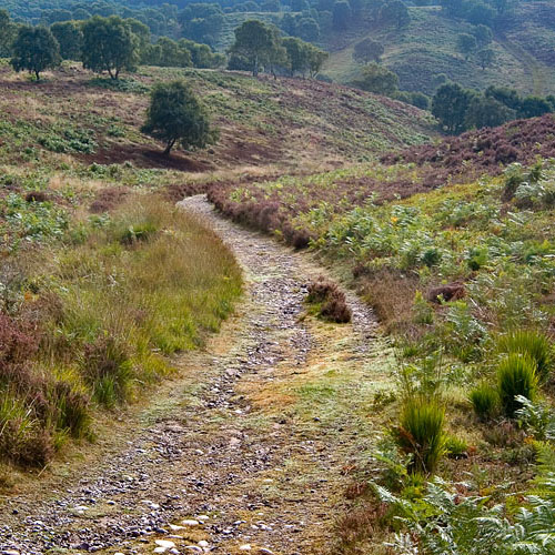 Heart of England Way