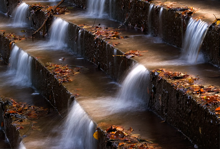 Autumn Steps