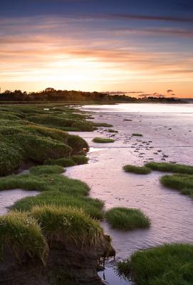 Low Tide