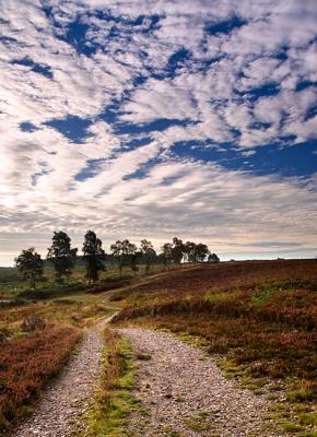 Winding Through the Chase