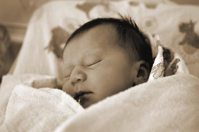 v3/00/389700/3/47344718.Olivia152sepiacopy2.jpg