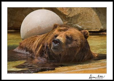 Cooling Off