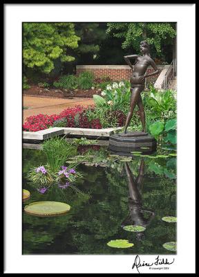 Lily Pond with Statue Reflection
