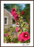 Cottage Garden, Elsah