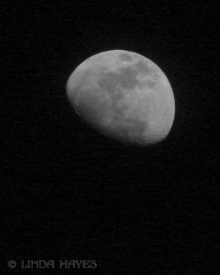 Moonshot S1035