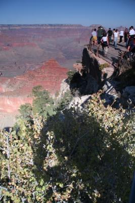 Grand canyon 9