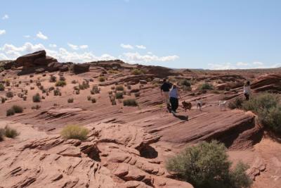 Horseshoe bend overlook
