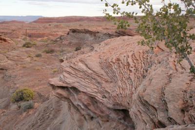 Red rock Glen canyon