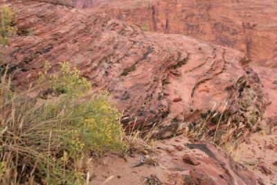 Red rock Glen canyon