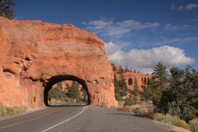 Red rock canyon