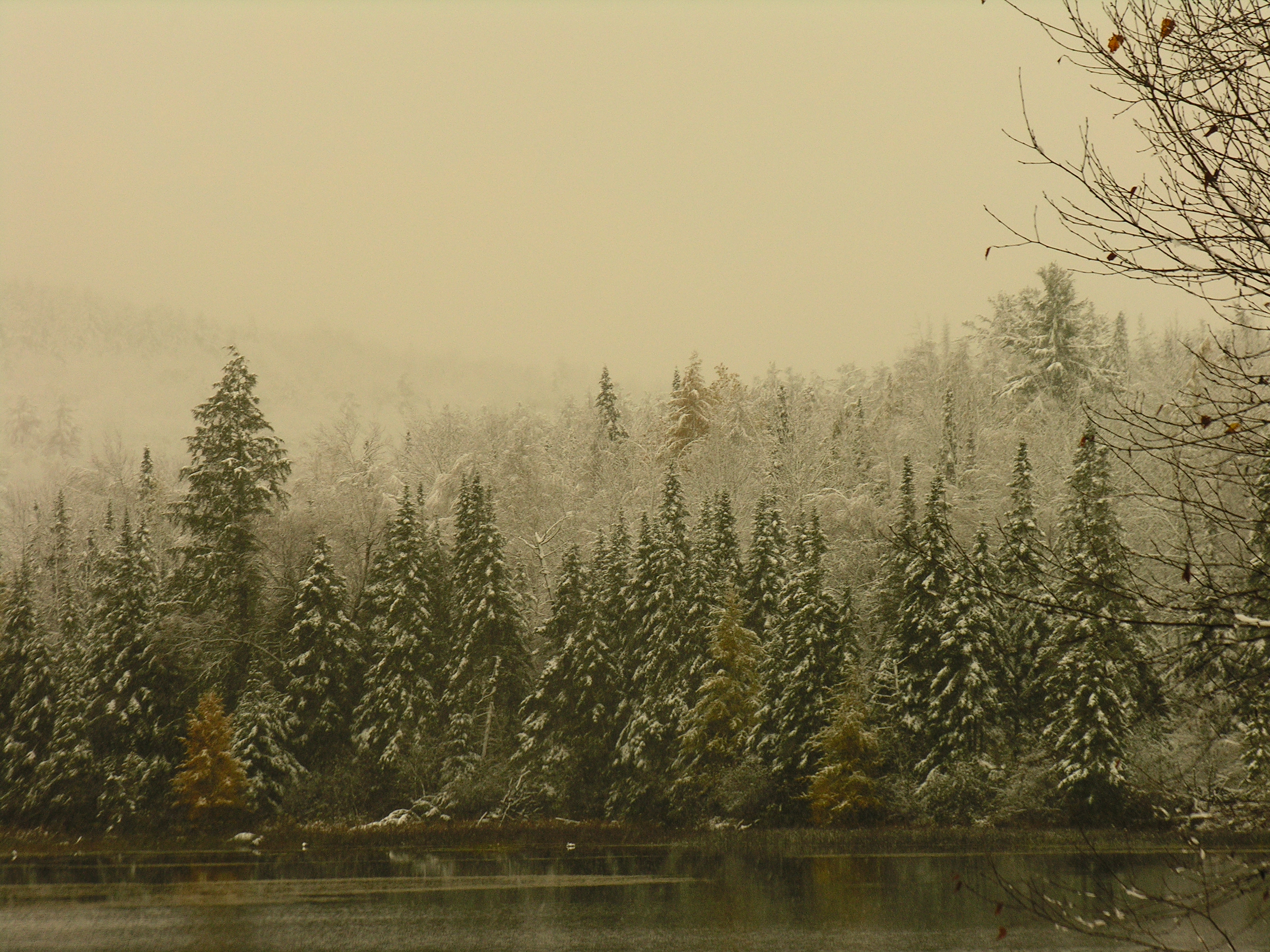 DSCN9667.JPG