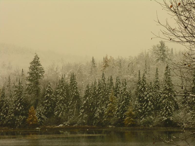 DSCN9667.JPG