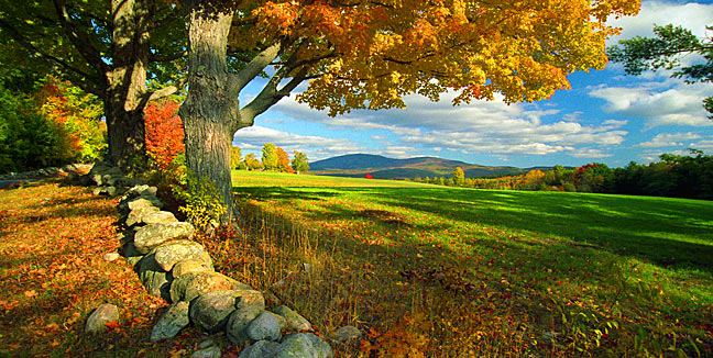 Keasarge Vista