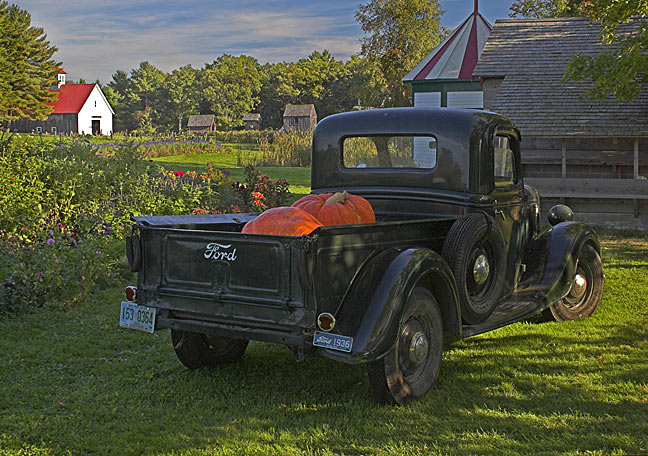 Pumpkins in a Truck