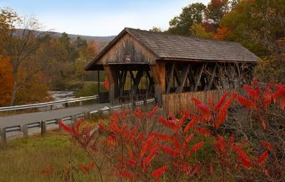 Packard Hill Bridge #3