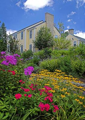 Colorful Garden