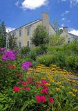 Colorful Garden