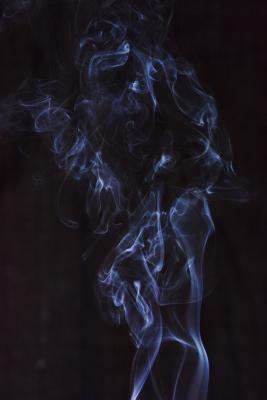 Smoke - Rauch 7 (smoker)