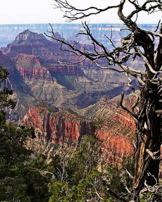 Grand Canyon