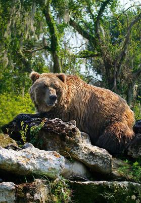 Kodiak