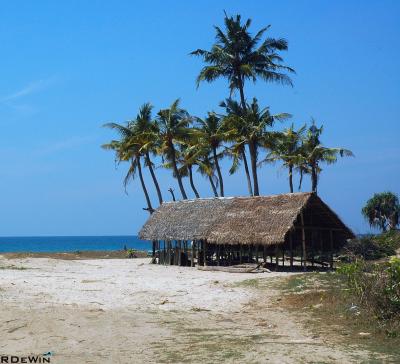 Sri Lanka