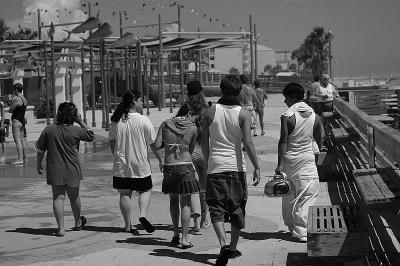 a_day_at_the_beach