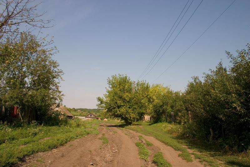 CRW_2553.jpg